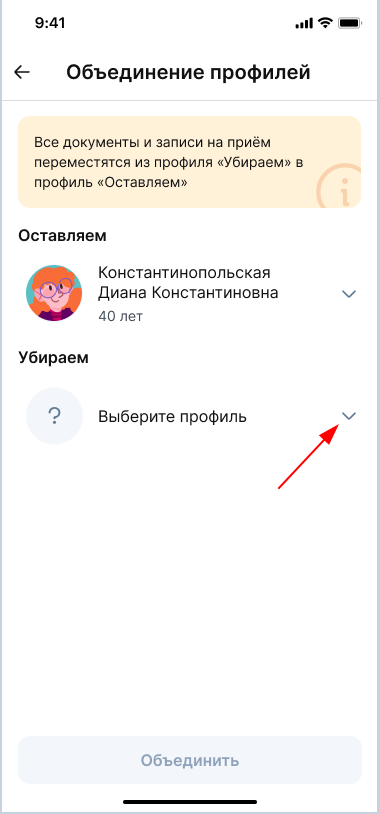 Выбор профиля для объединения